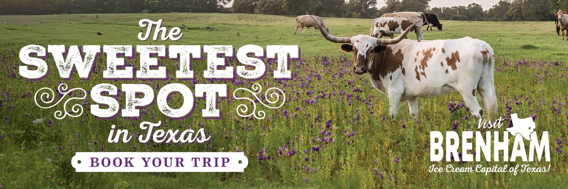 Display ad for Visit Brenham; The sweetest spot in Texas